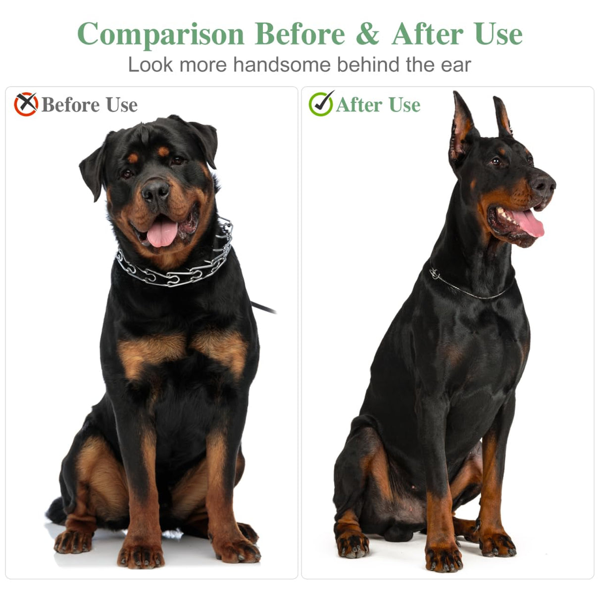POPETPOP 2 Sets Dog Ear Posting Kit - Doberman Ear Stand Up Tool with Tape, Dog Ear Stand Up Support Tool for Doberman Pinscher Dog Ears Sticker Up