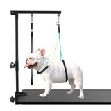 Dog Grooming Table Arm with Metal Clamp,35" Adjustable Portable Arm for Table with 1 Loop Noose & Two No Sit Haunch Holder,Grooming Restraint for Small Medium Pets