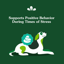 Load image into Gallery viewer, Greenies Supplements Calming Chews for Dogs Chicken Flavor, 14.7 oz. Container of 80 ct.
