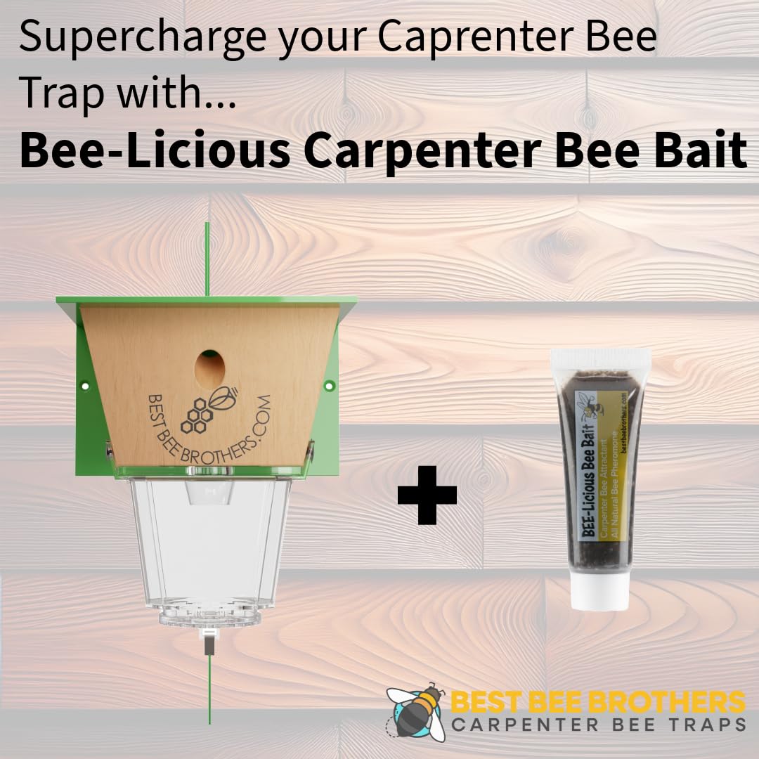 Best Bee Brothers Ultimate Carpenter Bee Trap for Outside with Large, Clear External Receptacle, Internal Bee Vault & Spring-Loaded Door, 5.75" L x 6" W x 4.5" H
