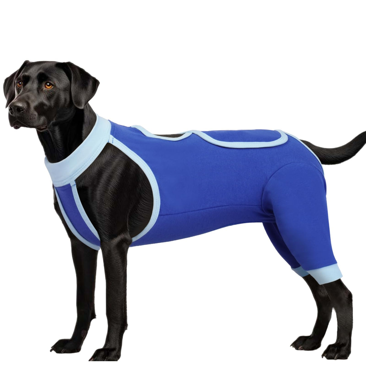 ROZKITCH Dog Surgery Leg Sleeve Rear Legs, Male Female Pet Prevent Licking Wound Elbow Knee Protector, Dog Recovery Suit Cone Collar Alternative Pants Shirt for Wound Heal Wrap Blue S