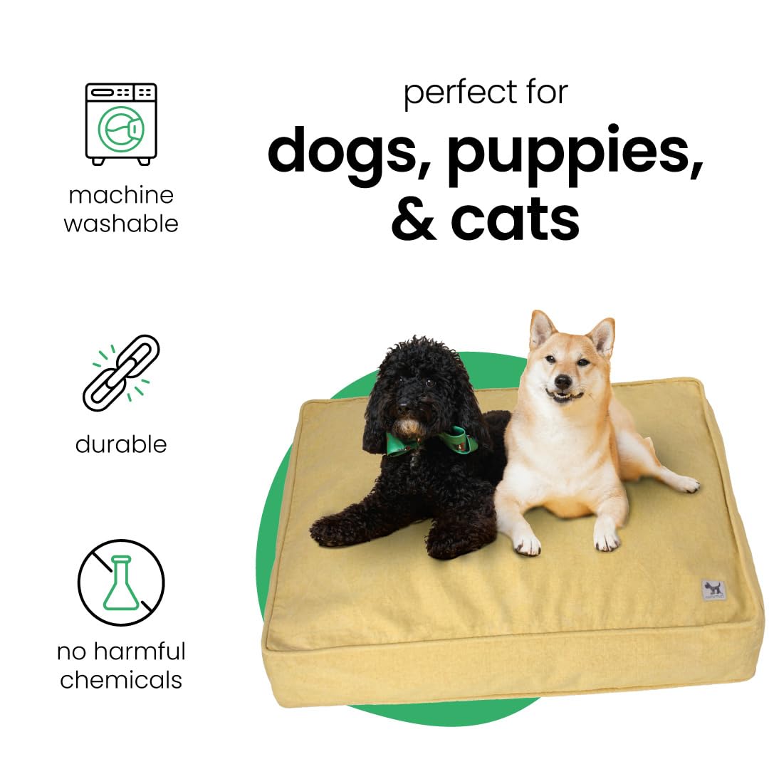 Molly Mutt Elysium Dog Bed Duvet Cover, GOTS-Certified 100% Cotton Canvas Cover for Dog, Puppy, or Cat Bed, Durable, Washable, and Free of Harmful Chemicals, Small, 22"x27"x5", Yellow