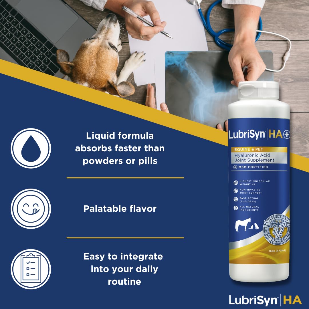 LubriSynHA Hyaluronic Acid with MSM Hip & Joint Care Supplement for Dogs, Cats & Horses – Liquid Oral HA for Pets – Joint Support Promotes Mobility, Flexibility, Cartilage Health & Comfort – 16oz