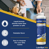 LubriSynHA Hyaluronic Acid with MSM Hip & Joint Care Supplement for Dogs, Cats & Horses – Liquid Oral HA for Pets – Joint Support Promotes Mobility, Flexibility, Cartilage Health & Comfort – 16oz