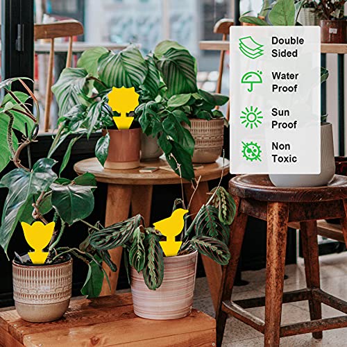 72 Pcs Sticky Traps for Fruit Fly, Whitefly, Fungus Gnat, Mosquito and Bug, Yellow Sticky Insect Catcher Traps for Indoor/Outdoor/Kitchen, Extremely Sticky Fly Trap, Non-Toxic