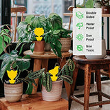 72 Pcs Sticky Traps for Fruit Fly, Whitefly, Fungus Gnat, Mosquito and Bug, Yellow Sticky Insect Catcher Traps for Indoor/Outdoor/Kitchen, Extremely Sticky Fly Trap, Non-Toxic