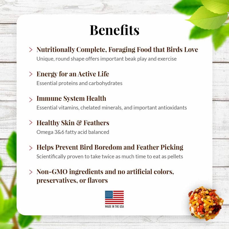 LAFEBER'S Sunny Orchard Nutri-Berries Pet Bird Food, Made with Non-GMO and Human-Grade Ingredients, for Cockatiels Conures Parakeets (Budgies) Lovebirds (Sunny Orchard 10 oz Pack of 2)