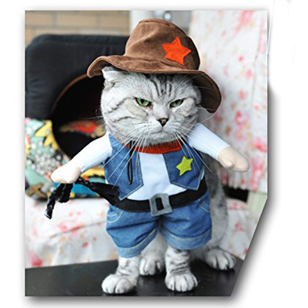 NACOCO Cowboy Dog Costume with Hat - Cat & Small Dog Clothes - Blue (X-Small)