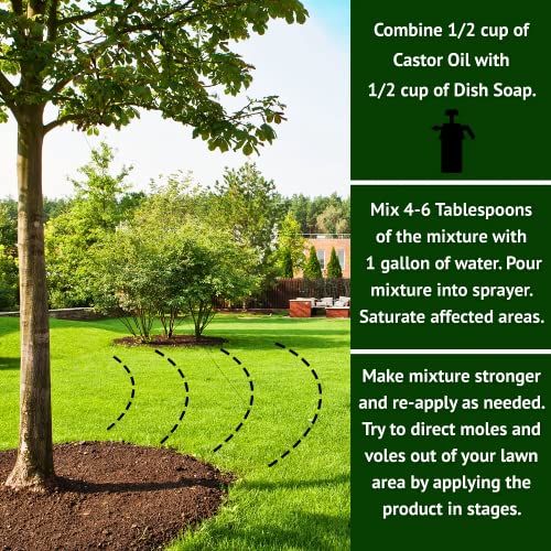 Nature’s MACE Mole & Vole Repellent 1 Gallon Castor Oil Concentrate/Covers up to 20,000 Sq. Ft. / Keep Moles and Voles Out of Your Lawn and Garden/Safe to use Around Home & Plants Guaranteed