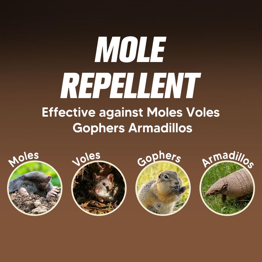KQCWKH Mole Repellent for Lawns, Mole and Vole Repellent Outdoor, Gopher Repellent, Groundhog Repellent Outdoor, Armadillo Repellent, Mole Deterrent for Yard, Lasts Up to 3 Months, 8 Balls