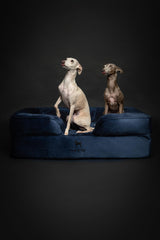 NOAH & PAW Large Dog Bed, 35x25x11 Inch, Orthopedic Dog Beds, Eggshell Memory Foam Infused with Cooling Gel, Inner Cover, Waterproof, Machine Washable (Velvet Sofa Collection)