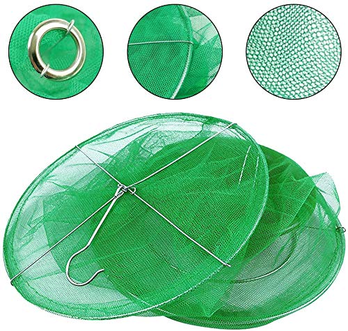 Ranch Fly Trap Outdoor Hanging Reusable with Fishing Apparatus | Food Bait Tray Catcher Cage for Indoor or Outdoor Family Farms, Park (10 Pack)