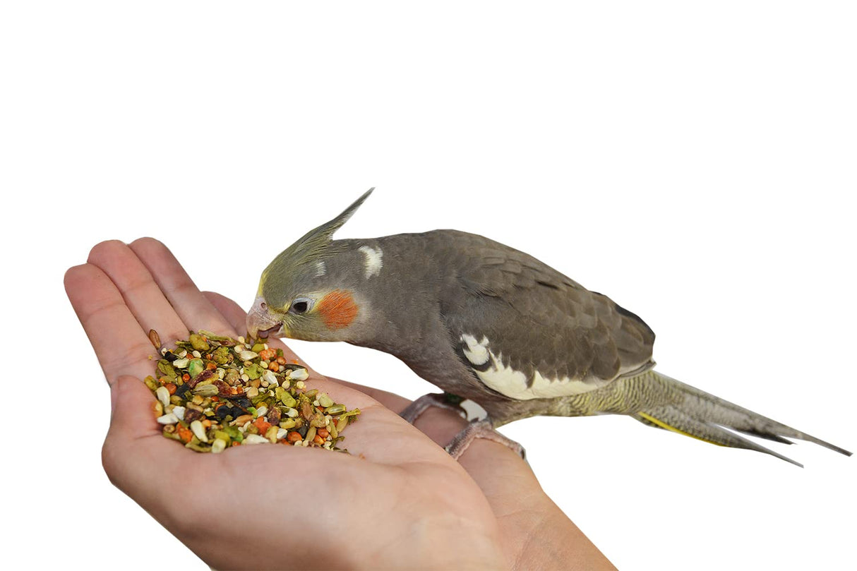 Birds LOVE All Natural Garden Blend Bird Food for Medium Birds - Cockatiels, Green Cheek Conures, Ringneck Parakeets and Small Quakers 2lb