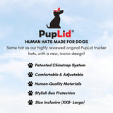 Nature Collection, PupLid Trucker Hats for Dogs (Large) Premium Stylish Sun Protection for The Modern Dog - Adjustable for Secure Comfortable Fit on Active Dogs (Black, Bear)