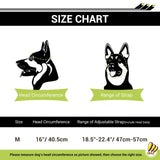 Billionchains Dog Goggles and Helmet Set - Anti-dust UV Protection Sunglasses, Durable Motorcycle Helmet With Ear Hole, Adjustable Pet Glasses for Medium to Large Dogs/Clear