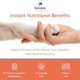 Petralyte Dog Electrolytes and Joint Supplement | Hydration Support for Dogs w/Glucosamine, Chondroitin & More | Electrolytes for Dogs with Prebiotics | for Chicken Lovers | 16 Packets