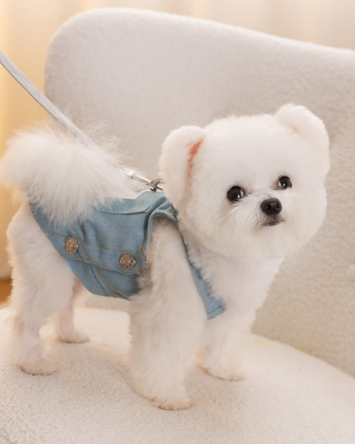 Dog Clothes Denim Dog Dresses for Small Dogs Harness Dress Puppy Clothes with Leash Ring Dog Costume with Pocket Summer Cat Apparel Dog Clothes Cat Shirts Small Dog Dresses Female Light Blue X-Large