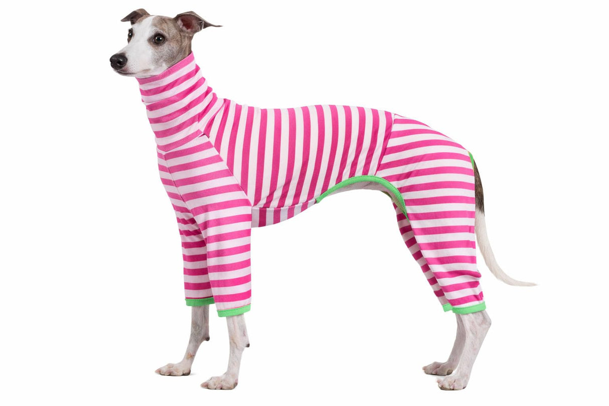 Whalemire Italian Greyhound Onesie Clothes, Cotton Striped Four-Leg Dog Jumpsuit for Whippet & Italian Greyhound, Soft Breathable Stretch Pajamas (Pink, S (6-9 lbs))
