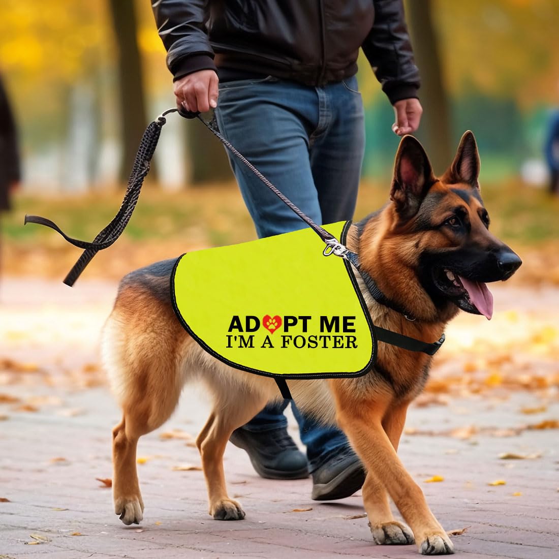 CENWA Adopt I’m A Foster Jacket Vest Adopt Dog Jacket Vest New Puppy Dog (I'm A Foster L)