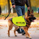 CENWA Adopt I’m A Foster Jacket Vest Adopt Dog Jacket Vest New Puppy Dog (I'm A Foster L)