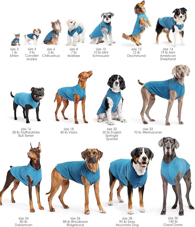 Goldpaw Dog Sun Shirt with UV Protection - Lightweight, Cooling Sun Protection Clothing for Small Dogs - Reduce Heat Absorption - Made in The USA - Machine Washable - Pistachio Green - Size 8