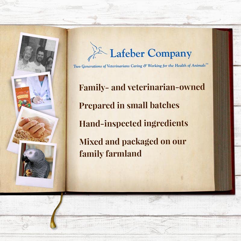 LAFEBER'S Senior Bird Nutri-Berries Pet Bird Food, Made with Non-GMO and Human-Grade Ingredients for Parrots (10 oz Pack of 2)