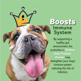 Proflora Probiotics for Dogs-Complete Gut Health & Immune Support. Easy to Use Digestive Multi-Strain Probiotics. Easier Diet Transitions, Healthier Skin & Coat & Helps Treat Diarrhea. 30 Packets.
