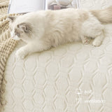 Tcksstex Waterproof and Anti-Slip Dog Bed Cover and Pet Blanket Sofa Pet Bed Mat ，car Incontinence Mattress Protectors Furniture Couch Cover for Most Cats Dogs, Pets（68x82- Ivory）