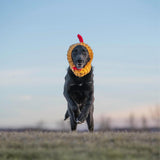 Zoo Snoods Rooster Costume - Knit Chicken Dog Snood Ear Wrap for Pets, Warm Neck Cover for Halloween and Winter (Small)