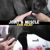KELEBS Dog Arnica Massage Oil | Pain Relief for Muscles, Arthritis, HIPS, and Joints | for Active & Senior Dogs | Organic Arnica-Infused Oil Blend – Only 5 Ingredients | Glass Bottle