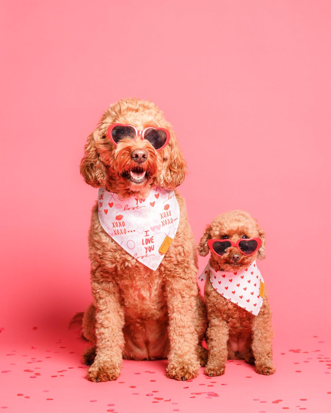 Remy+Roo Valentines Dog Bandana- 2 Pack | Premium Durable Fabric Valentines Bandanas for Dogs | Adjustable Fit | Multiple Sizes Offered (X-Large, XOXO)