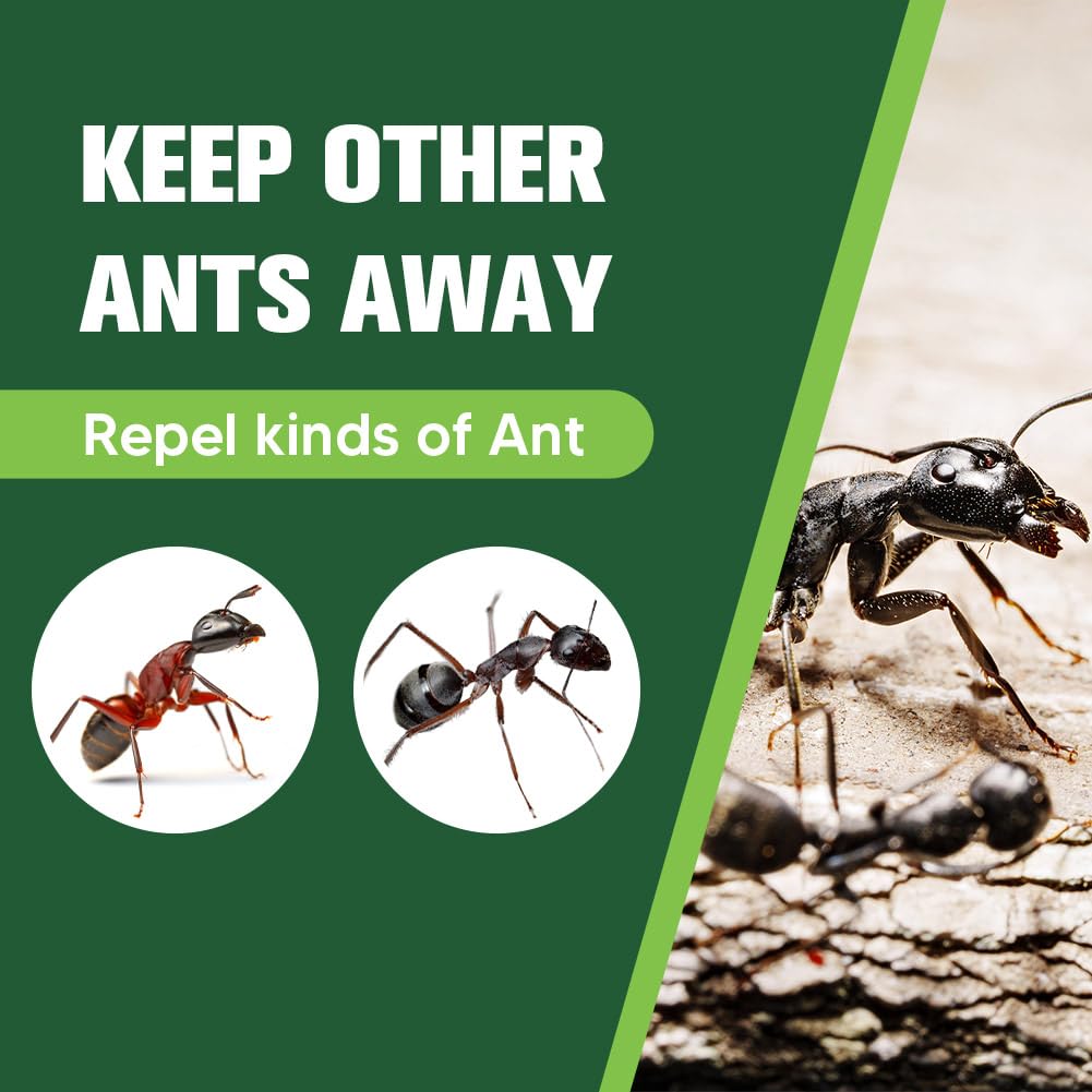 Ant Repellent Indoor Pet Safe, Ant Repellent Outdoor, Get Rid of Ant, Keeps Ants Away, Ant Deterrent for Home, Protects up to 120 sq ft, Natural Ingredients, People/Pet/Plant Friendly- 4P