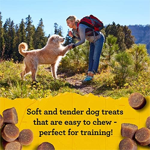 Zuke's Mini Naturals Dog Training Treats, Soft Mini Dog Treats with Vitamins & Minerals, Made for All Breed Sizes Chicken, 16 Ounce (Pack of 2)
