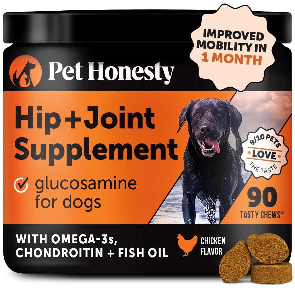 Pet Honesty Hip & Joint Health Soft Chews for Dogs, Joint Supplement with Glucosamine Chondroitin, MSM, Turmeric, Joint Support + Mobility, May Reduce Occasional Discomfort (Chicken 90 Count)