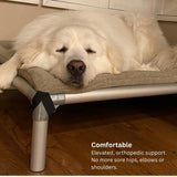 Kuranda Chewproof Elevated Dog Bed - Silver Aluminum - 30" x 20" - Cordura Nylon - Forest Green