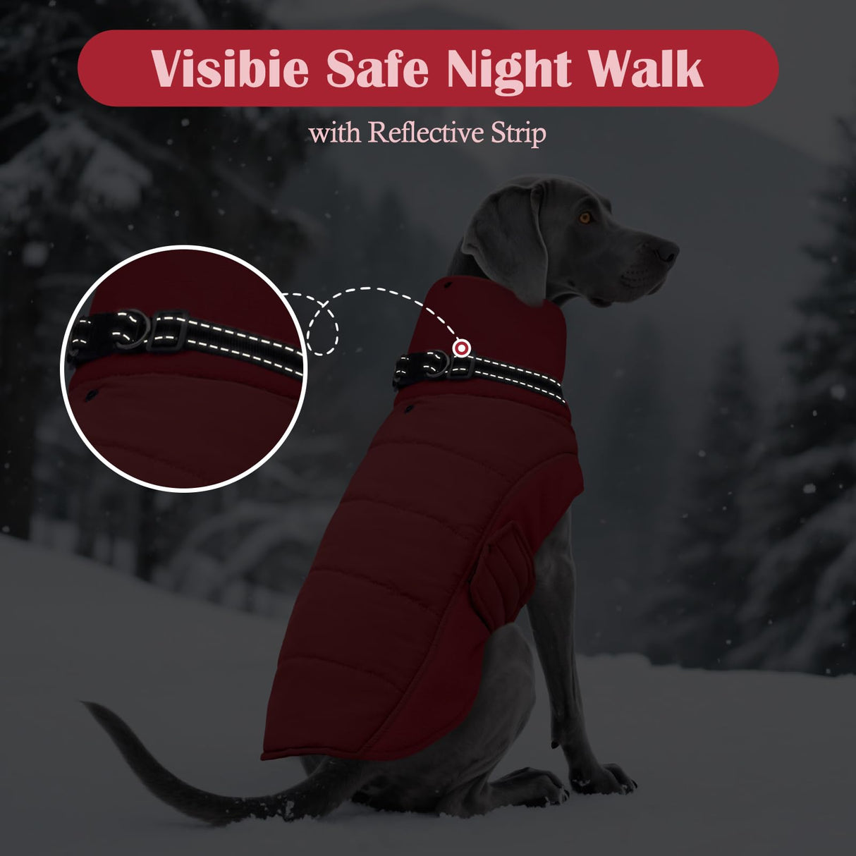 DENTRUN Dog Coat with Collar Built in - Fleece-Lined Windproof Dog Jacket, Adjustable Belly Straps & Reflective Strips, No-Sleeve Design for Beagle, Dachshund, Daily Walks, Red, M
