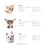 Upgraded Blue SZAT PRO Teacup Dog Hoodies, 100% Cotton Puppy Clothes for Small Dogs and Cats, Chihuahua Clothes Pullover Sweaters for Dog Boys and Girls XX-Small
