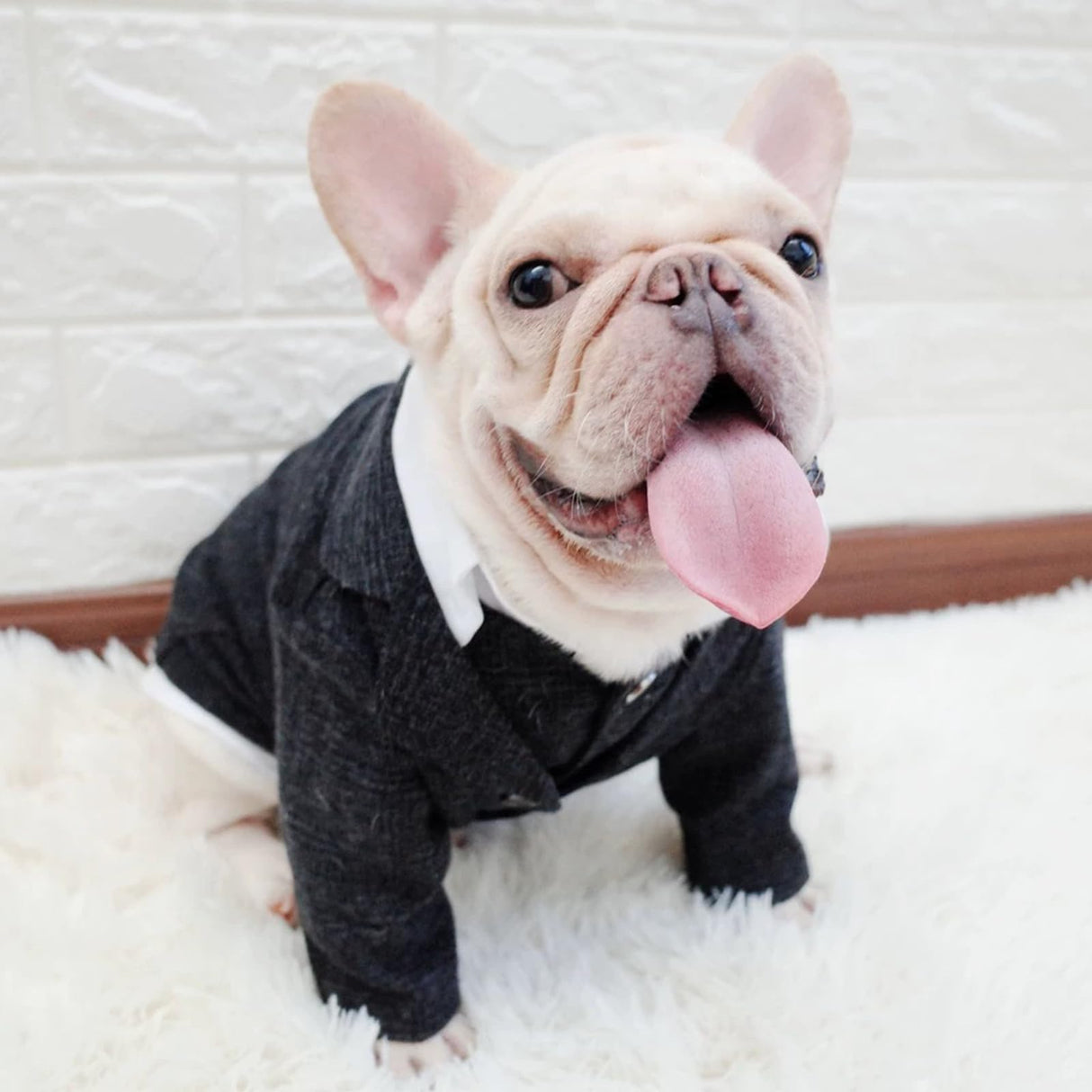 TQFlow Dog Clothes Pet Plaid Suit Dog Tuxedo Costumes, Formal Gentleman Apparel Vest, Wedding Party Birthday Wear French Bulldog Pug Teddy Terrier Pup(Black Coat, S)