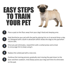 Load image into Gallery viewer, BV Puppy Pads XL 40 Count 28"x34" - Leak-Proof Pee Pads for Dogs with 6-Layer Design, Rapid Dry Sheet &amp; Attractant - Dog Pad Extra Large with Odor Control - Perfect for Big Dogs &amp; Indoor Use
