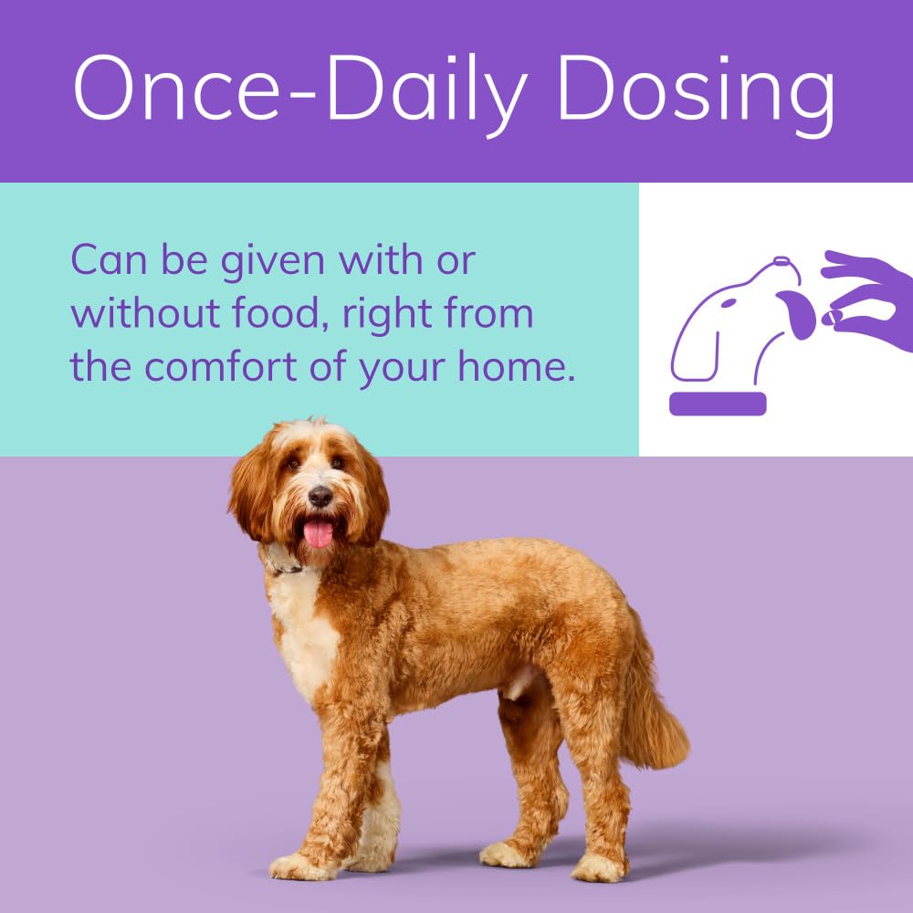 Zenrelia (ilunocitinib Tablets) | Once Daily Prescription Itch Relief for Dogs | 15 mg mg (30 Count)