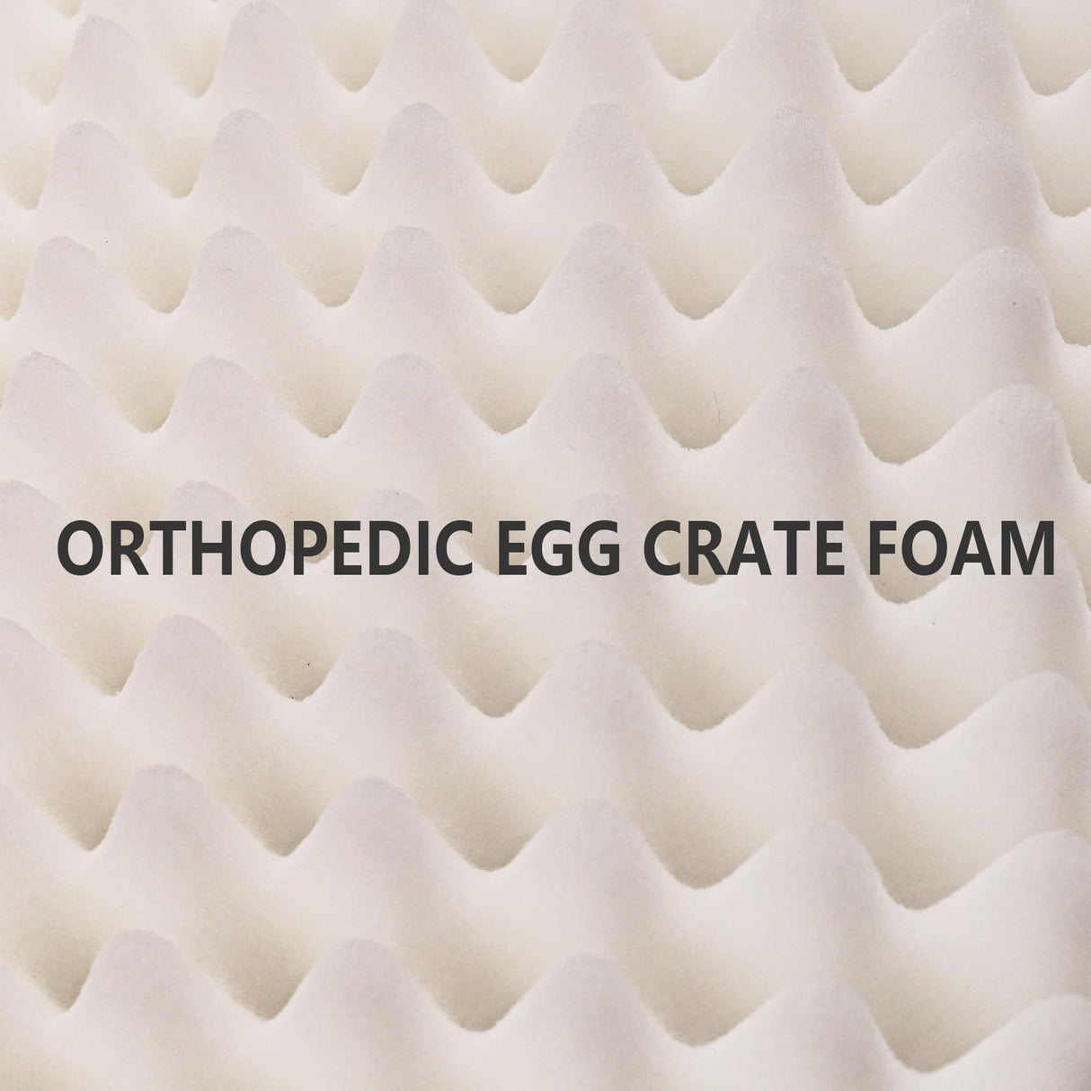 Patas Lague Orthopedic Dog Bed Large Sized Dog 36''X24'', Waterproof Soft Comfortable Egg Crate Foam Large Pet Beds Crate Mat with Removable Washable Cover and Nonskid Bottom, Black