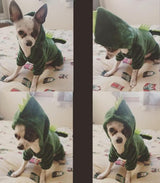 Idepet Dinosaur Dog Costume Clothes for Small Dogs Pet Halloween Costume Puppy Clothing Cats Outfits Funny Apperal(Green,XXL)
