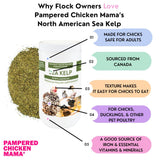 Kelp for Chickens & Duck Feed (1 Pound): Chicken Vitamins | Chicken Supplements | Vitamins for Chickens | Pampered Chicken Mama