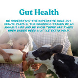Manna Pro Nurse All Multi-Species Milk Replacer, Powered by Opti-Gut™ to Support Gut Health & Digestion, All-Milk Protein, Easy-To-Mix Formula, 8 Pounds