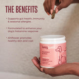 WagWell Allergy & Itch Chews – Vet-Formulated, All Natural, Made in The USA – Plant-Based Dog Allergy Chews with Colostrum and Spirulina – Supports Dog Allergy Relief and Digestive Health, 60 Chews