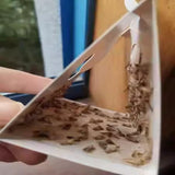 18 Packs Pantry Moth Traps Glue Traps, Pantry Moth Killer for House Pantry | Non-Toxic and Odorless | Super Strong Glue for Moth Catcher