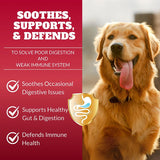 Dog Probiotics Chews Supplement – Digestive Support & Gut Health for Dogs, Helps Loose Stool, Gas & Sensitive Stomachs, Supports Itchy Skin, Allergy & Immune Health – 120 Ct