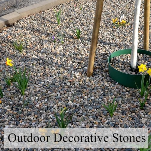 20 lbs Pea Gravel Pebbles for Indoor Plants, 2/5 Inch Mixed Color River Rocks for Aquarium, Succulent, Vase, Bonsai, Garden, Plant Soil Cover and Outdoor Landscaping Rocks