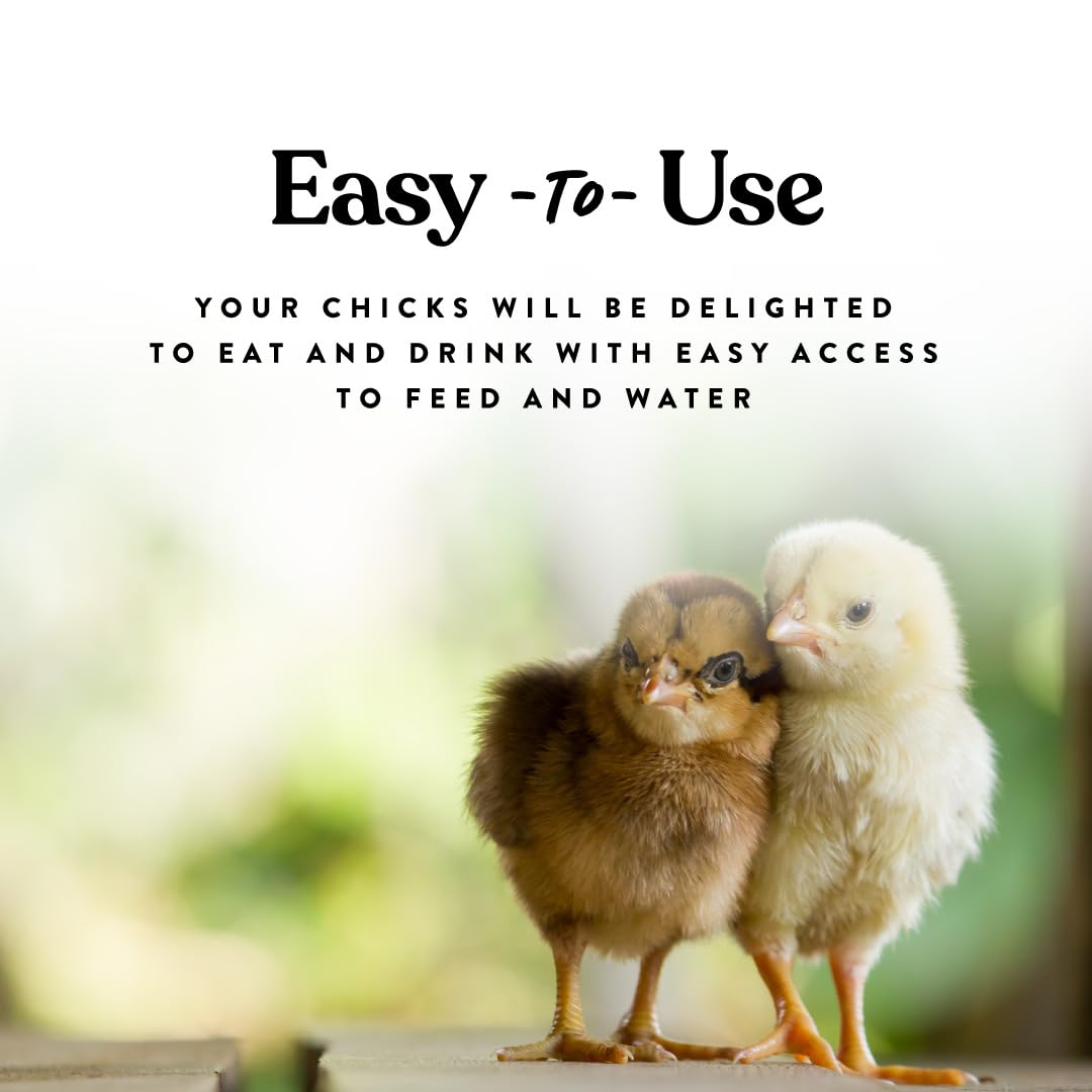 Harris Farms Chick Drinker and Feeder Bundle Kit – Contains 1 Screw on Chick Feeder Base and 1 Screw on Chick Drinker Base – 2 QT Plastic Jars – Made from BPA Plastic – Easy to Clean