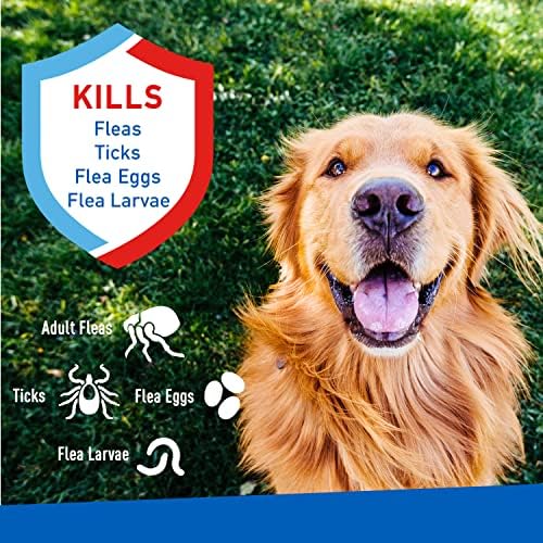 ADAMS Plus Flea & Tick Spray, 8 oz
